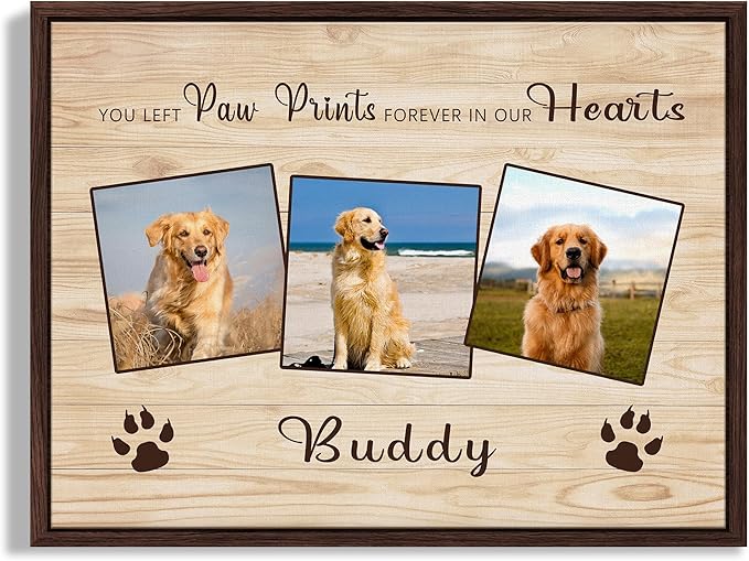 Custom Pet Memorial Gifts for Loss of Dog, Leave Paw Prints on Our Hearts, Dog Loss Sympathy Gift for Dog Cat Lovers Owners, Personalized Paw Prints Canvas with Photo and Name