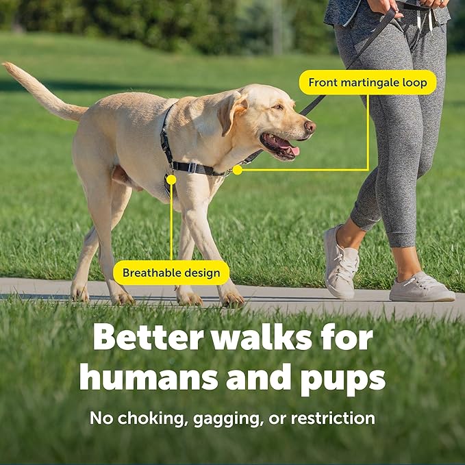 PetSafe Easy Walk Harness for Dogs - Pull-Free Walks - Patented Martingale Loop Design - Front Chest Leash Attachment - Comfort Straps - Breathable Harness Design - Large, Fawn/Brown