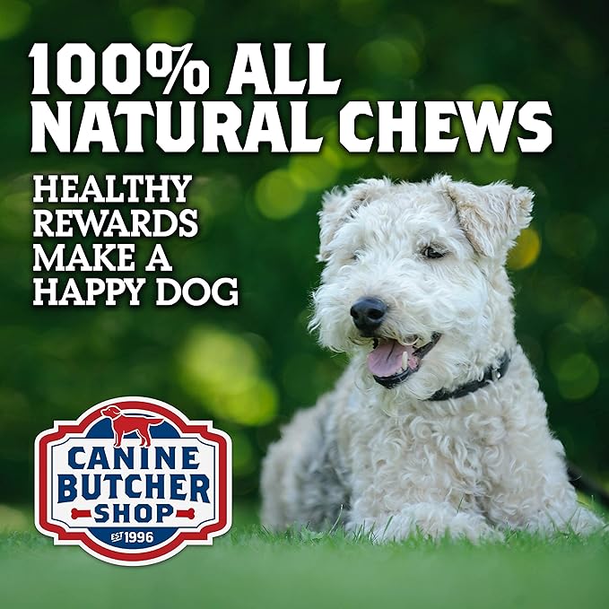 Pig Ears for Dogs Large, Sourced & Made in USA, Natural Dog Chew Treat, Large & Small Dogs, Aggressive Chewers (6-Pack)