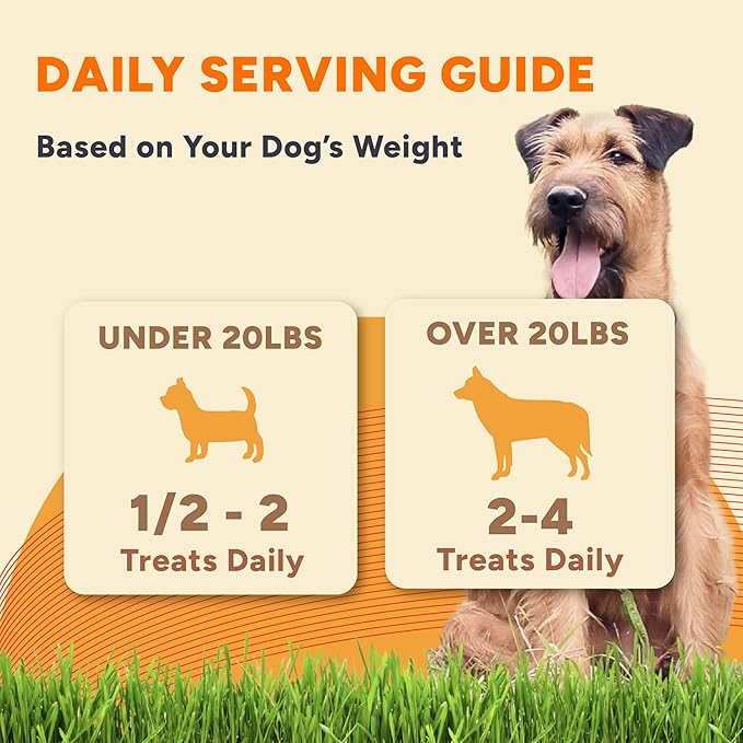 Gaines Family Farmstead Pumpkin & Sweet Potato Dog Bones, 4 Pack - 40 oz Bags, Natural, Grain-Free Dog Treats for Digestive Health & Immunity – High-Fiber, Vitamin-Rich Chews, Made in USA