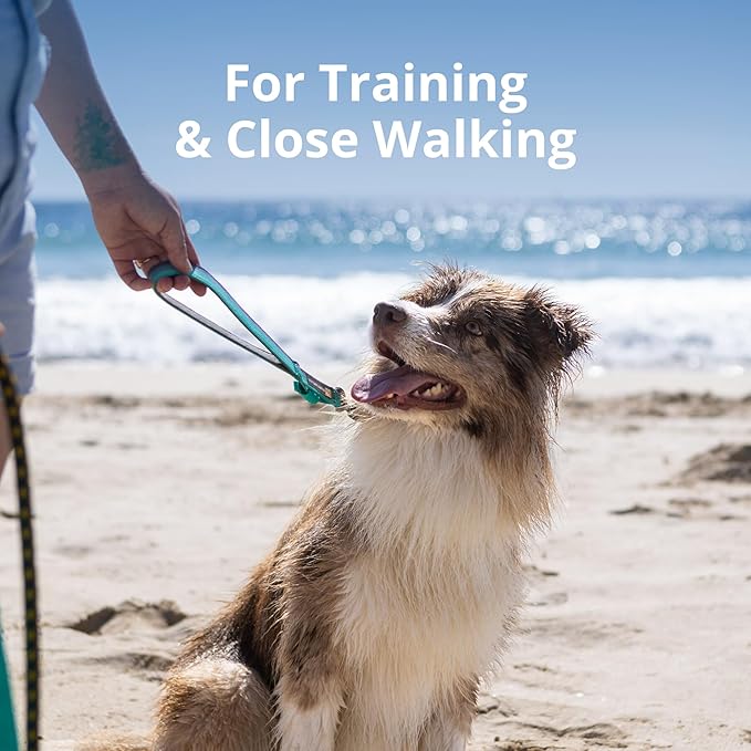 Ruffwear, Front Range Short Dog Leash, 15", Heavy Duty Traffic Leash with Padded Handle & Lockable Crux Clip, Reflective Lightweight Durable Lead for Training & Walking Control, Spring Fade