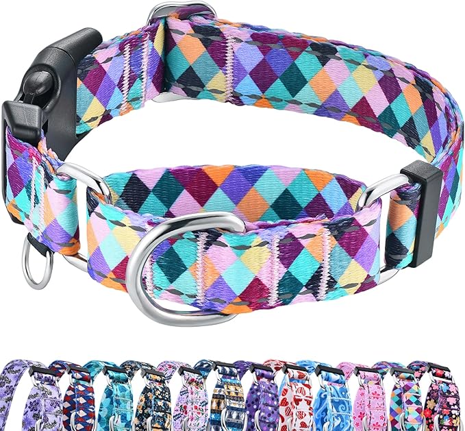 Reflective Martingale Collar for Dogs with Quick Release Buckle No Pull Training Dog Collars (Colorful Geometric, XSmall)