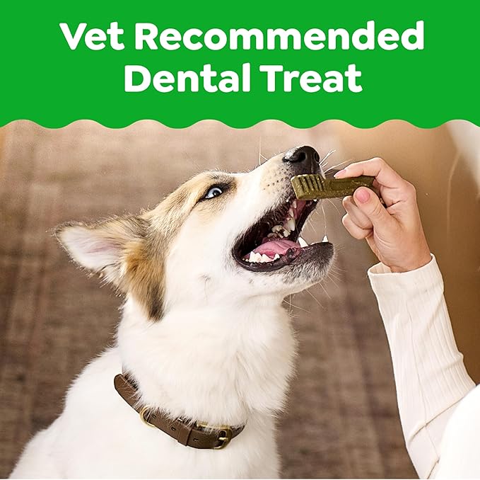 Greenies Veterinarian-Recommended Adult Natural Dental Dog Treats Teenie Size, Dog Dental Chews, Original Flavor, 12 oz. Pack, 43 Count