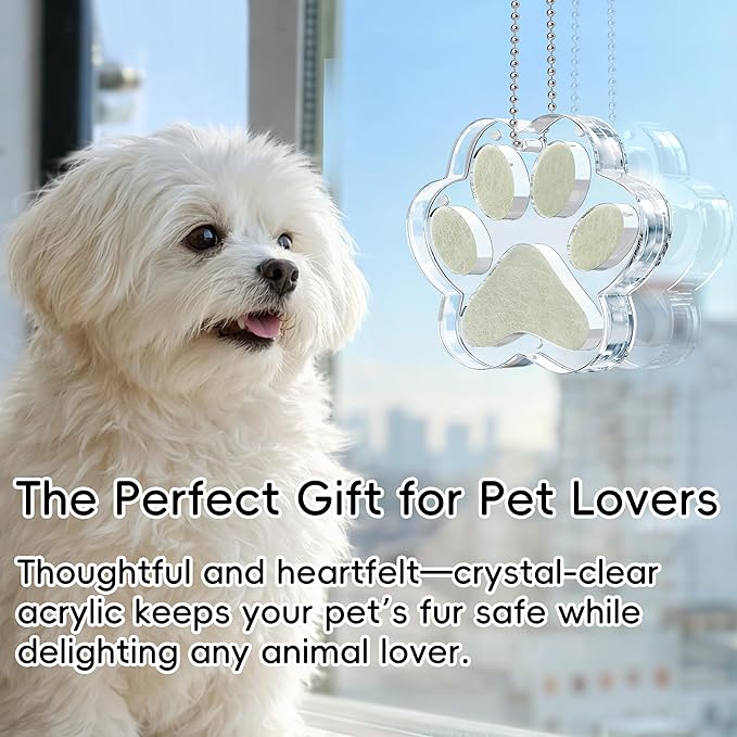 Pet Fur Keepsake Paw – Clear Acrylic Pet Memorial Ornament with Magnetic Openable Memory Chamber, Pet Loss Remembrance Gift for Dog, Cat & Small Animals
