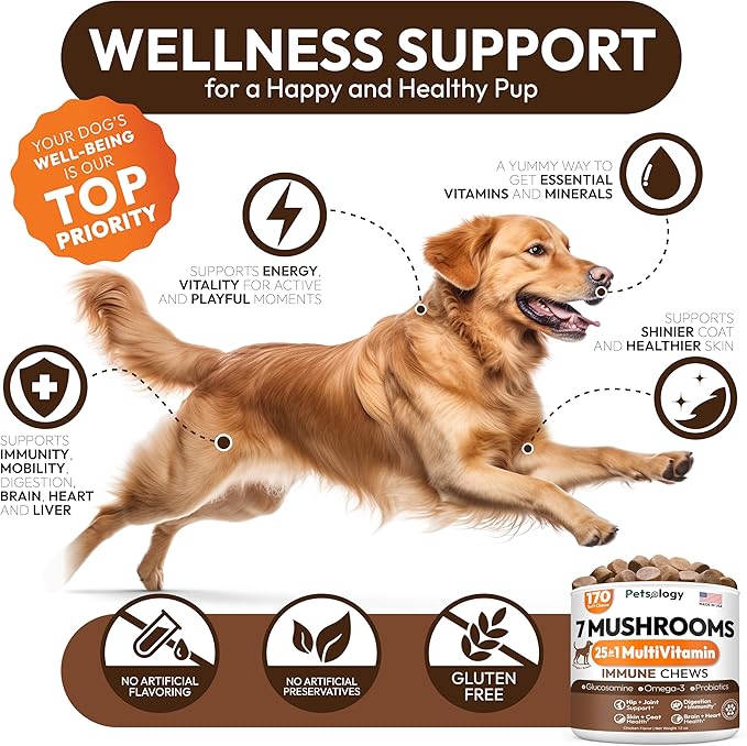 (2 Pack) Turkey Tail Mushroom for Dogs - 340 Chews - Lion’s Mane - Shiitake - Reishi - Buddy Immune Support Guard - Mushroom Supplement for Dogs with Glucosamine, Health Vitamins Multivitamin