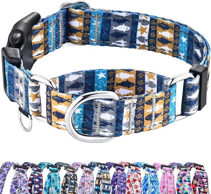 Reflective Martingale Collar with Buckle Shark Starfish Ethnic Stripe Adjustable Designer Dog Collars (Underwater World, Large)