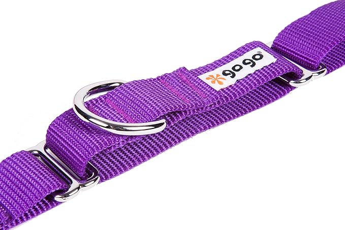 GOGO Pet Products 1-Inch Martingale Dog Collar, Large, Purple