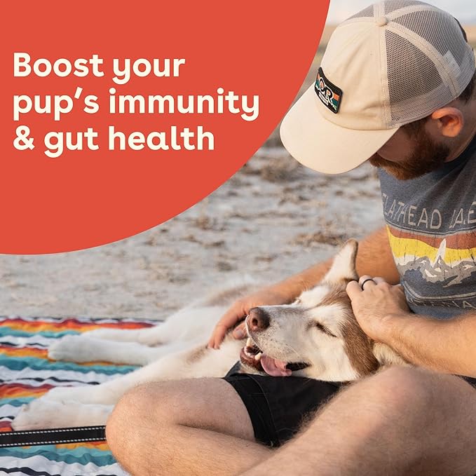 Pupford Gut Health & Immunity Supplement for Puppies and Adult Dogs, Made in The USA, Vet Approved, No Artificial Flavors, Peanut Butter and Jelly, Net Wt. 6.3 oz (180g)