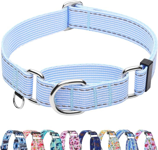 Reflective Martingale Collar for Dogs Nylon Training Collar with No Buckle, No Pull Escape Proof Dog Collar for Medium Dogs（Blue Stripe，M）