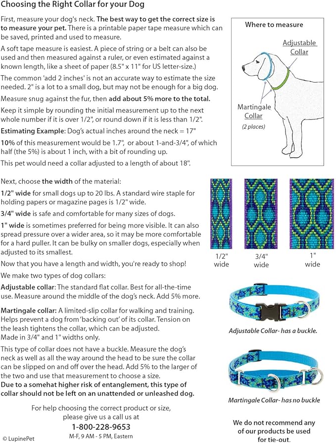 Lupine Large Reflective Dog Collar 3/4" Wide Blue Paws Adjusts from 15" to 25"