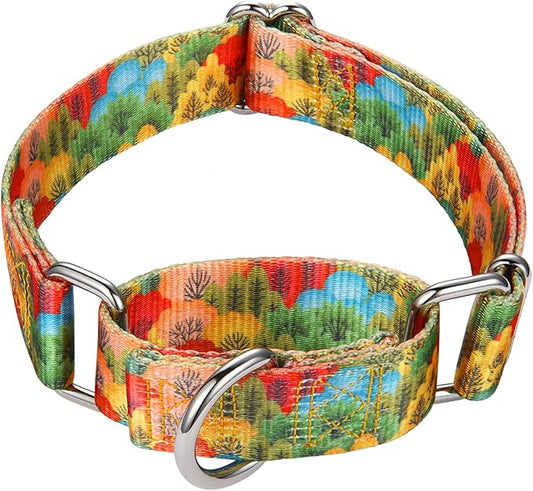 Mikivery Martingale Collar for Dogs 1 inch Sturdy Durable Collars Medium and Large Breed for Walking Training Outdoor Daily Use