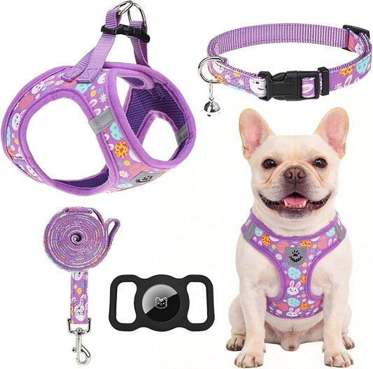 EXPAWLORER Easter Small Dog Harness - Dog Collar and Leash Set - Soft Mesh Padded Adjustable Step in Puppy Vest Harness No Pull, Reflective Escape Proof for Outdoor Walking, Bunny Egg S
