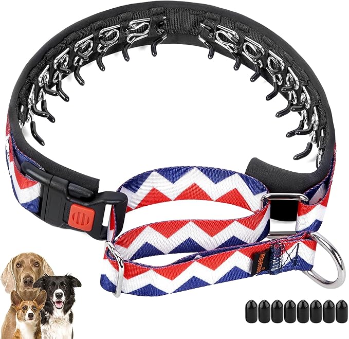 Mayerzon No Pull Dog Prong Collar Martingale, Personalized Pinch Collar with Geometric Patterns for Large Medium Small Dogs for Walking Training Festival, Easy to Use(M, Ethnic Red)