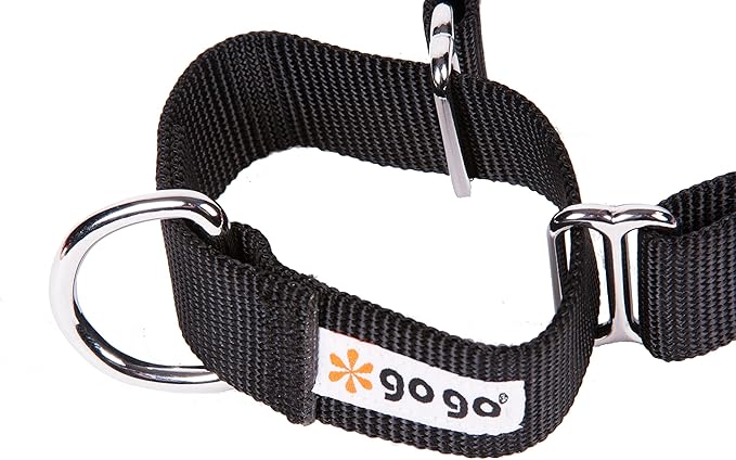 GOGO Pet Products 1-Inch Martingale Dog Collar, Large, Black