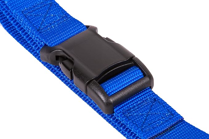 GOGO Pet Products 3/8-Inch Martingale Dog Collar, X-Small, Blue