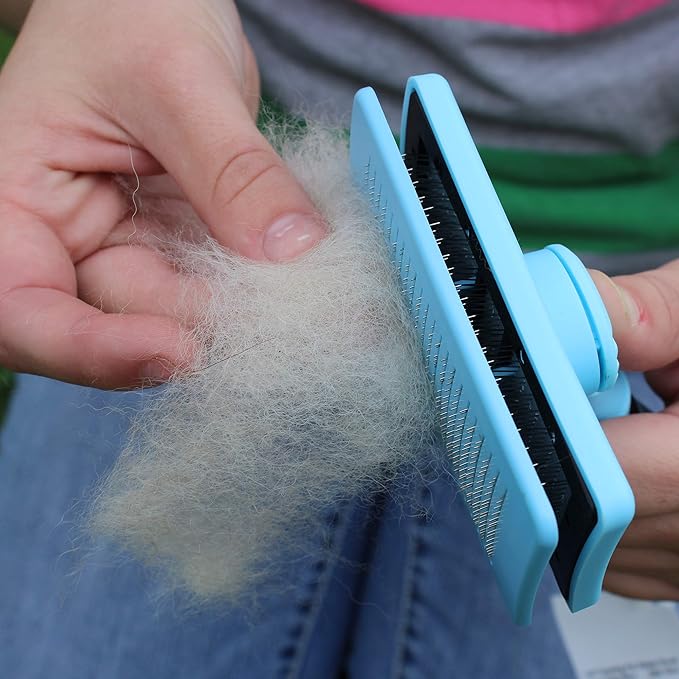 Self Cleaning Pet Slicker Brush, Blue, Large