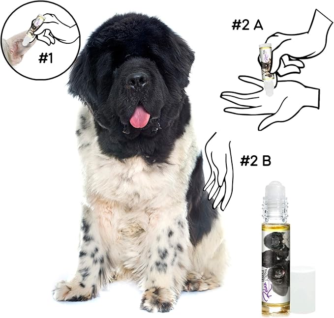 The Blissful Dog Newfoundland Relax Roll-ON Aromatherapy for Dogs - Anxiety Relief for Dogs