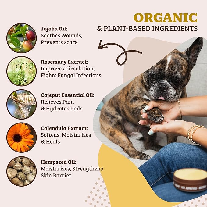 Natural Dog Company Paw Soother Balm & Wax - Dog Paw Balm & Moisturizer for Dry, Cracked Paw Pads, Helps Moisturize & Condition Winter-Worn Paws, Coconut Oil & Calendula, Daily Paws Care, 4 oz Tin