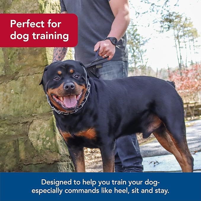 Coastal Pet Titan Dog Prong Quick Release Training Collar - Pet Training Collar for Dogs - Rust-Resistant Metal Dog Collar for Dog Training - Prong Dog Chain Collar - Quality Dog Supplies - 3 mm x 18"