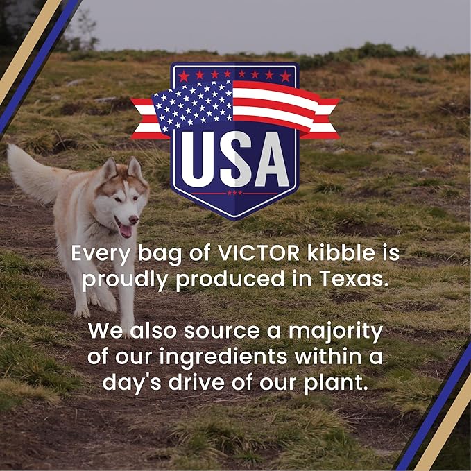 VICTOR Super Premium Dog Food – Select Beef Meal & Brown Rice Formula for Immune and Gut Health – Gluten-Free Beef Meal Dry Dog Food for All Normally Active Dogs of All Life Stages, 30 lbs