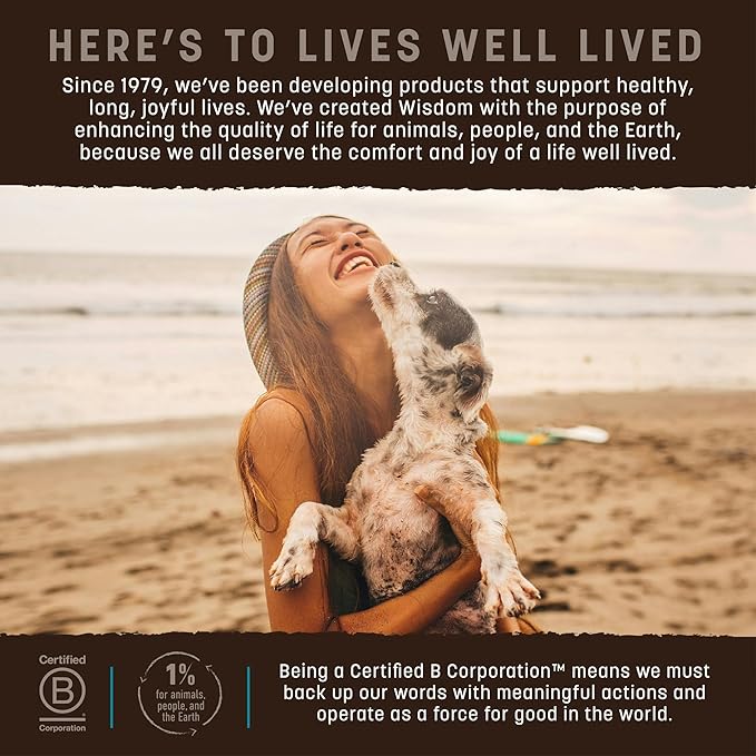 Earth Animal Wisdom Air Dried Jerky - From the Sea Recipe Premium Natural Fish Jerky Strips Dog Treats - 4 oz Bag