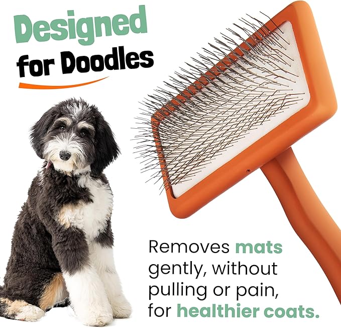 Doodle Brush for Dogs - Goldendoodle Brush with Poodle Comb and Cases Included - Goldendoodle Must Haves Grooming Tools - Designed for Doodles, Labradoodles, Bernedoodles - Medium - Orange