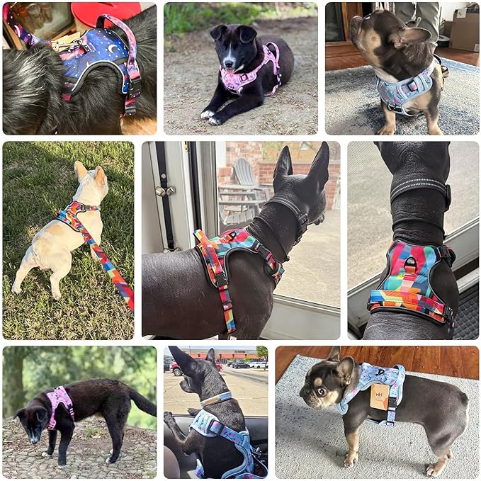 BEAUTYZOO No Pull Dog Harness Large, Adjustable Dog Harness and Leash Set -Easy Wearing with 3 Buckles/Control Handle,No Choke Soft Padded Reflective Pet Vest for Training Walking Hiking,Grey M