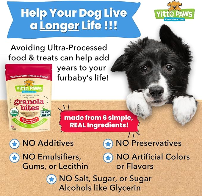 Organic Dog Treats – Crunchy, Strawberry & Peanut Butter Training Dog Biscuits – Vegan, Human-Grade, No Sugar Added – Healthy, All Natural – Made in USA, (8 oz)