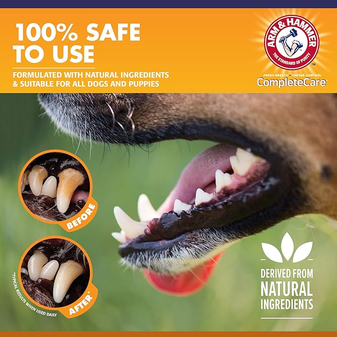 Arm & Hammer Complete Care Enzymatic Puppy Toothpaste, Peanut Butter Flavor, Enzymatic Dog Toothpaste for Puppies, Baking Soda + Calcium Formula, 6.2oz