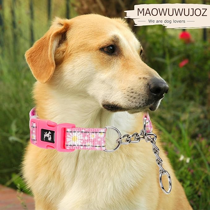 Martingale Dog Collar Trainer Approved Limited Slip Collar with Stainless Steel Chain & Heavy Duty Buckle - Modified Cinch Collar for Gentle & Effective Pet Training - Medium