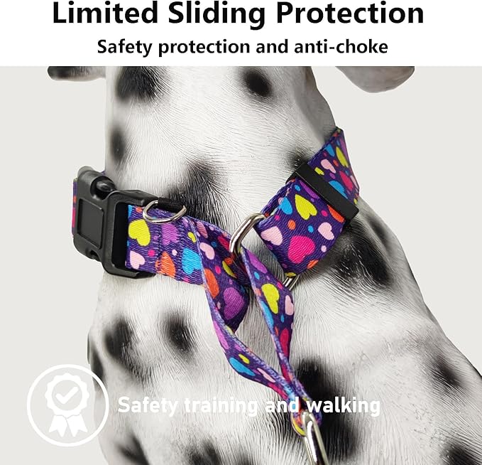 Valentines Martingale Collar for Dogs with Buckle No Pull Adjustable Nylon Limited Slip Training Dog Collars (Purple Love, Medium)