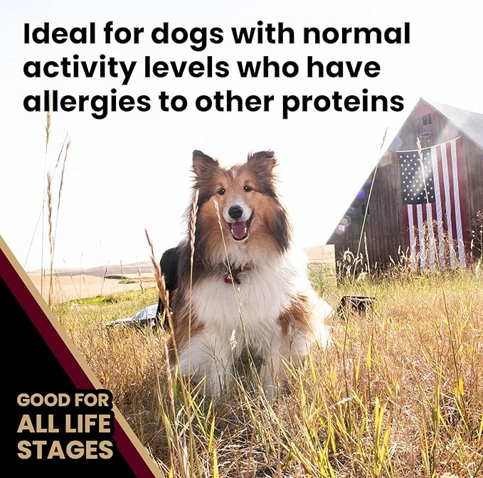 VICTOR Super Premium Dog Food – Lamb Meal & Brown Rice Formula - Gluten-Free Dry Dog Food for All Normally Active Dogs of All Life Stages – Ideal for Dogs with Meat Protein Allergies, 15 lb