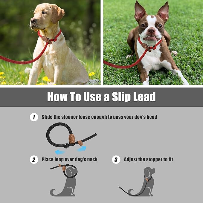 Mile High Life Slip Leads for Dogs | Heavy Duty Dog Training Leash | 5 Feet No Pull Slip Leashes w Leather Tip | Red Rope Lead for Dogs Outside