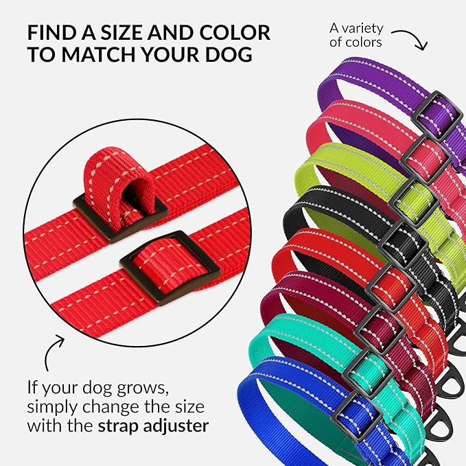 Collardirect Reflective Martingale Dog Collar Nylon Training Collars for Small Medium Large Dogs Puppy Pink Orange Green (L, Neck Size 16"-24", Orange)