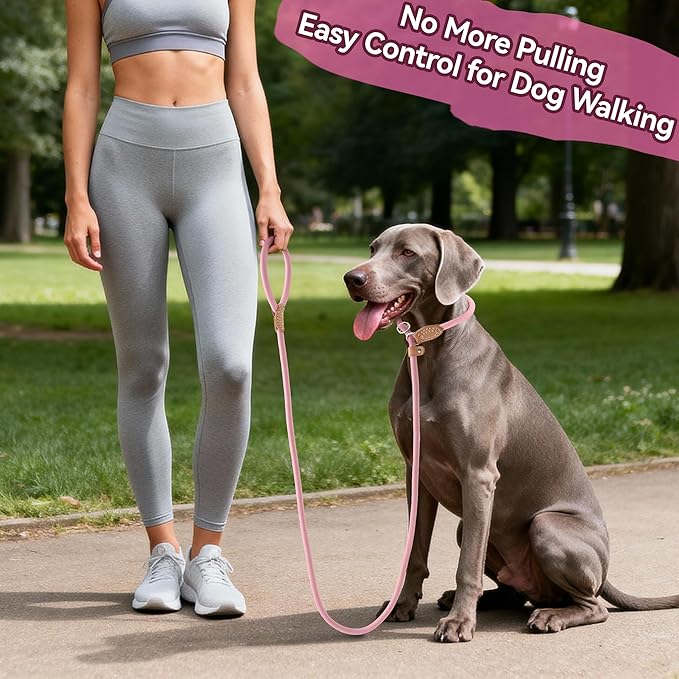 Mile High Life Slip Lead Dog Leash - 4FT, 5FT, 6FT Heavy Duty Rope Leash for No Pull Training, Durable Braided Dog Lead with Leather Stopper & Tip for Medium Large Dogs