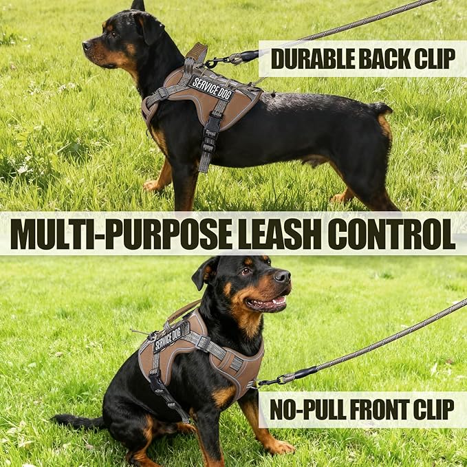 Service Dog Tactical Vest Harness and Leash Set Medium Sized Dog Emotional Support- Tactical Dog Harness Training Collar with Name (Khaki, M)