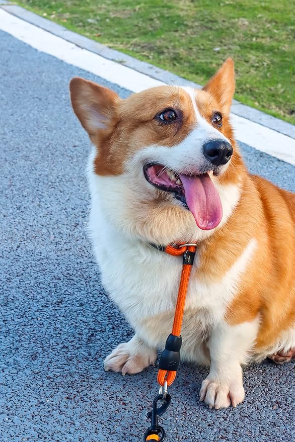 LOS ANDES Dog Slip Collar with Slidable Stopper, No Pull Choker Training Martingale Collar for Small Medium Large Dogs, Nylon, Orange, S (15 in x 8 mm)