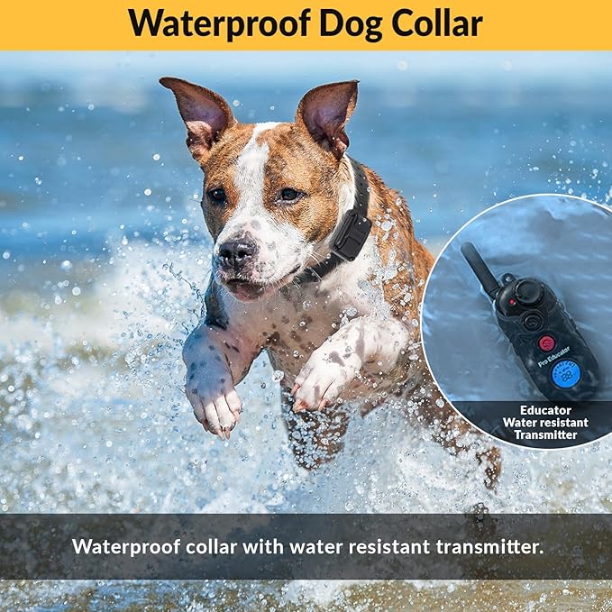 Educator Pro 1/2 Mile Dog Training Collar with Ergonomic Remote, Safe Humane Vibration Stimulation, Pavlovian Tone, Waterproof, Odorproof Biothane Collar, Night Light, Rechargeable, 2 Dog, Black