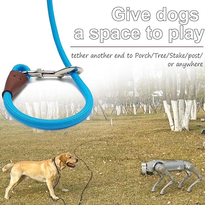 30FT Tie Out Rope Dog Leash, Long Tether 10-15-20-30 FT Dog Tie Down Nylon Check Cord for Medium Large Dogs Outdoor Playing Camping Backyard (Blue, 3/8")