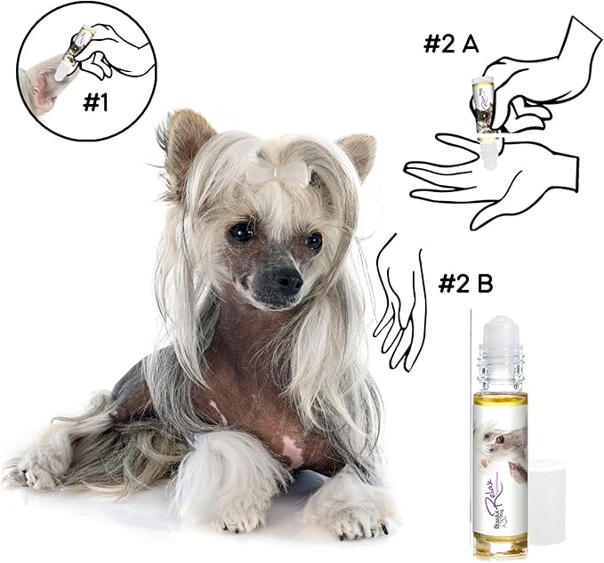 The Blissful Dog Chinese Crested Relax Roll-ON Aromatherapy for Dogs - Anxiety Relief for Dogs