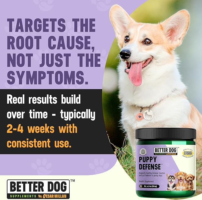 Better Dog Supplements Puppy Defense by Cesar Millan – Natural Immune Support Powder for Young Dogs – Immunity, Gut Balance, Digestive Health & Early Wellness – 4oz, (60-Day Supply)