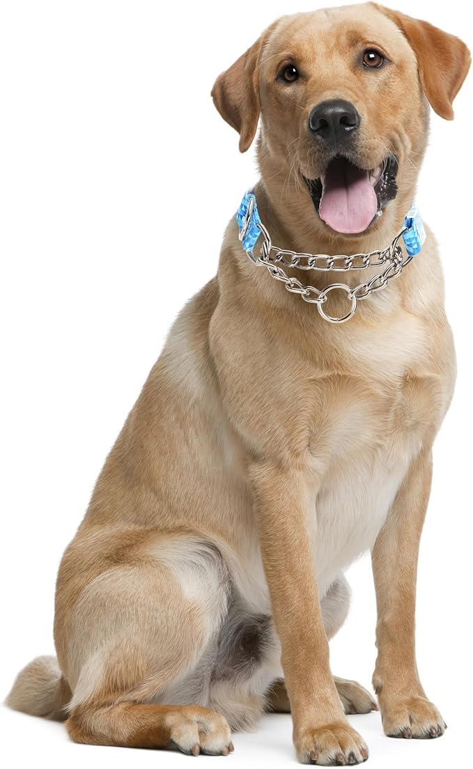 Stainless Steel Chain Collar Martingale, No Pull Slip Cinch Choker Choke Collar Training Escape Proof Heavy Duty Dog Collar for Small Medium Large Pet Boy Male Dogs, Blue M