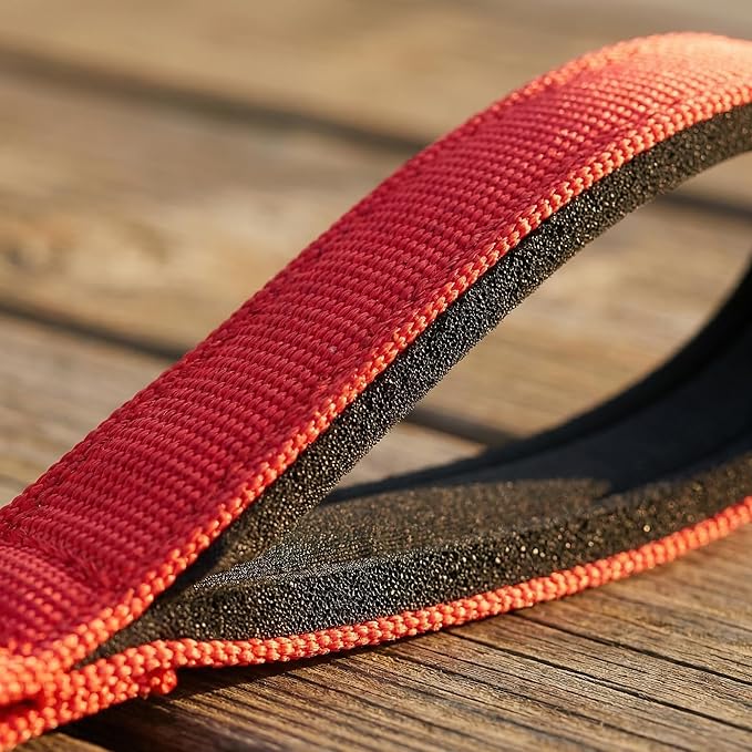 Chew Proof Metal Dog Leash with Built-in P-Chain Collar - 2FT/4FT for Small/Medium/Large Dogs (30-150lb), Anti-Bite Chain Link with Soft Padded Handle, 360° Rotating Clasp Red