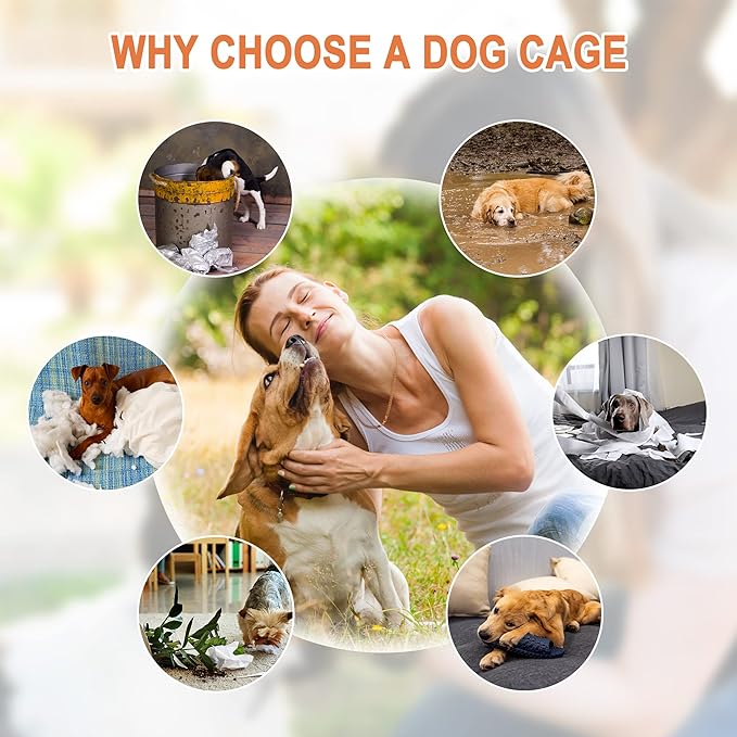 Pet Republic Dog Crates for Large Dogs Folding Metal Wire Dog Gage Double Door 30/36/42Inches Dog Kennel Indoor Outdoor Pet Grates