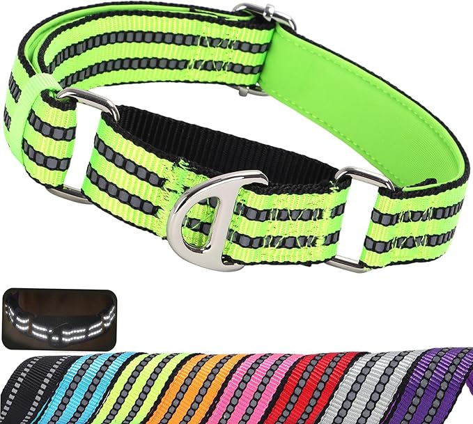 Martingale Collar for Medium Dogs with No Buckle Reflective Nylon No Pull Choke Collar with Padded Comfort for Training, Walking & Overexcited Pulling Control Dogs,Green M
