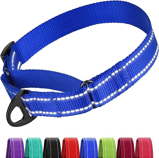 Collardirect Reflective Martingale Dog Collar Nylon Training Collars for Small Medium Large Dogs Puppy Pink Orange Green (S, Neck Size 11"-15", Blue)