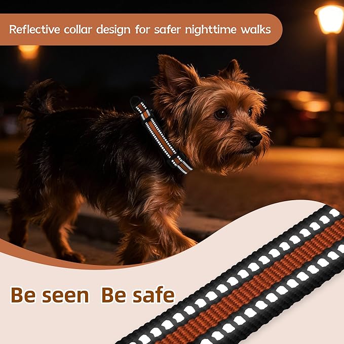 Martingale Collar for Dogs Reflective Collar with Quick Release Buckle, Adjustable Nylon Collars for No Slip Dog Collar, Orange, XS