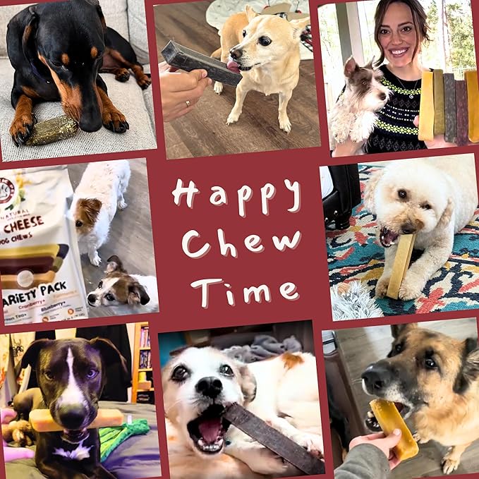Majestic Pet Himalayan All-Natural Cheese Dog Chews - Long Lasting Dental Chew for Dogs - Healthy Pet Treats with Beneficial Ingredients (Variety Pack, Regular, 20 Pack)