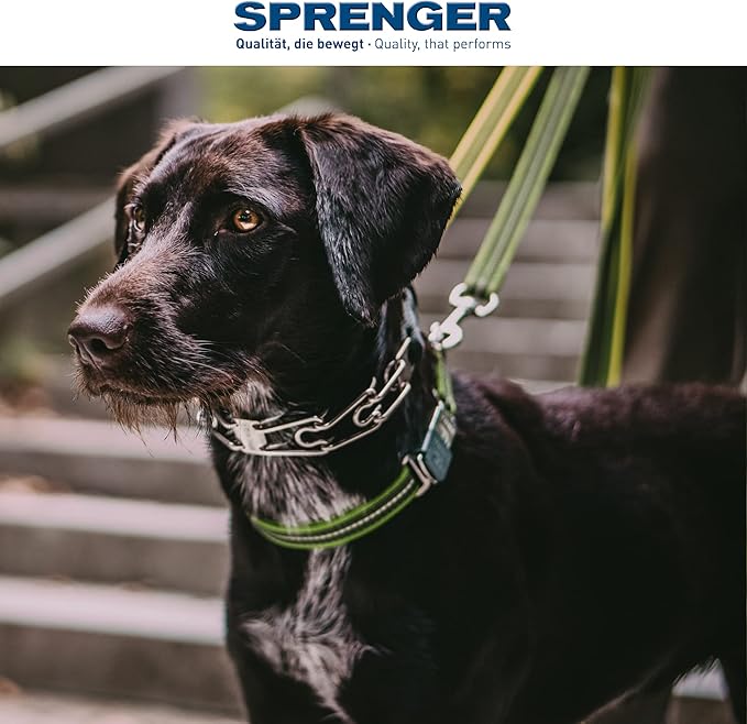 Herm Sprenger Dog Training Prong Collar with Swivel D-Ring, 3 Extra Links, 30 Comfort Tips for Small Medium Large Dogs Stainless Steel No-Pull Collar Made in Germany (Medium-Large)