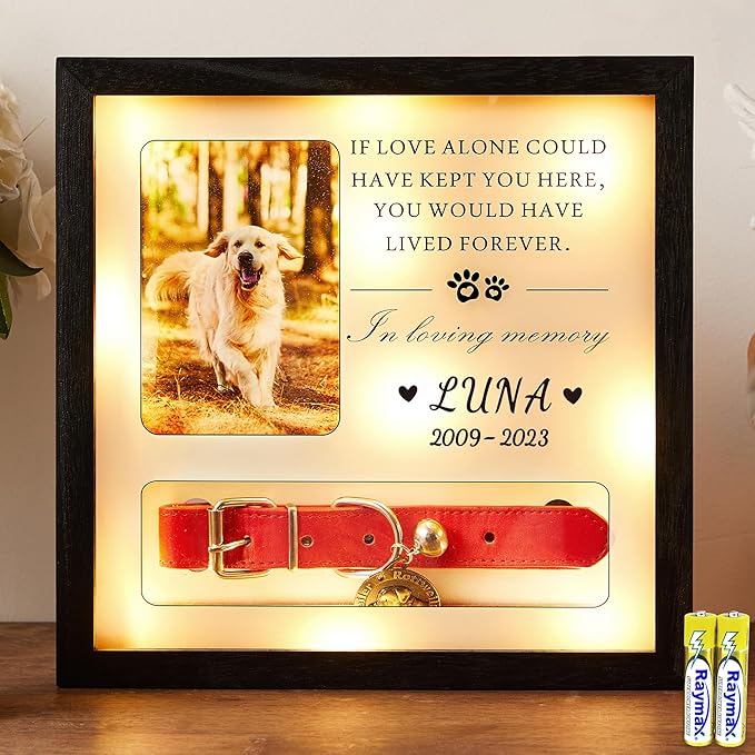 Pet Memorial Picture Frame Dog Collar Shadow Box 10"x10", Sympathy Remembrance Gift Keepsake for Loss of Dog or Cat, for Medium or Small Size Collars